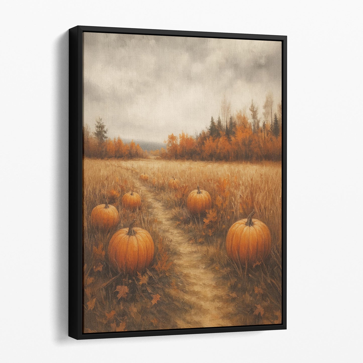 Pumpkin Patch In Autumn Field