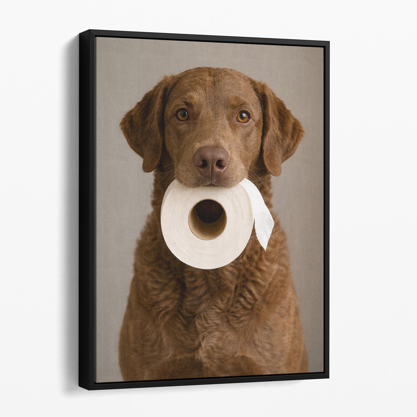 Chesapeake Bay Retriever Dog Toilet Paper