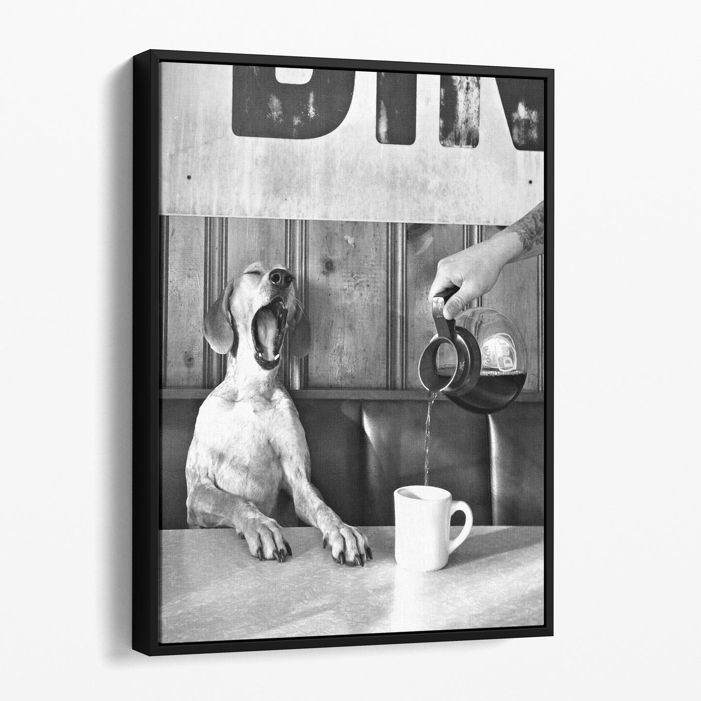 Dog Yawning Over Morning Coffee