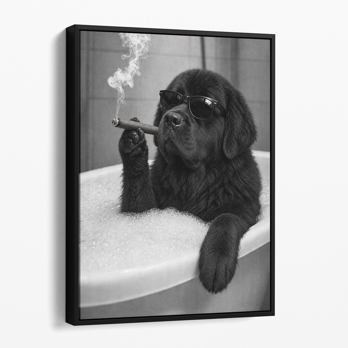 Newfoundland Dog Bathtub Cigar