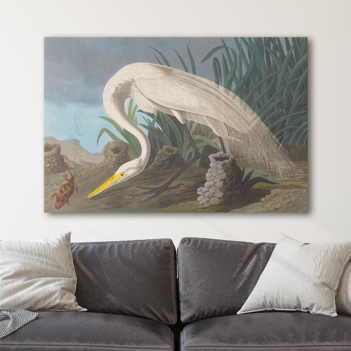 White Heron - John James Audubon, Birds of America