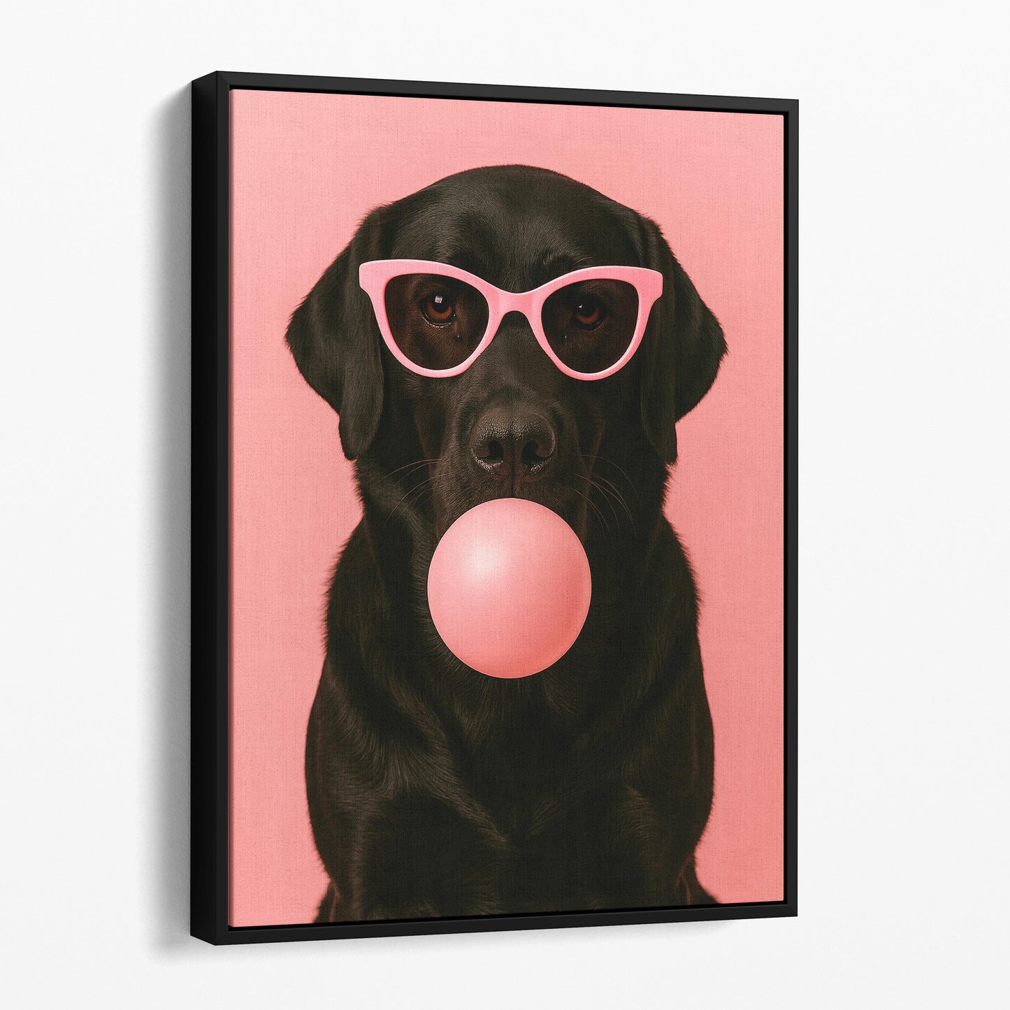 Black Labrador Dog Pink Bubble Gum Sunglasses