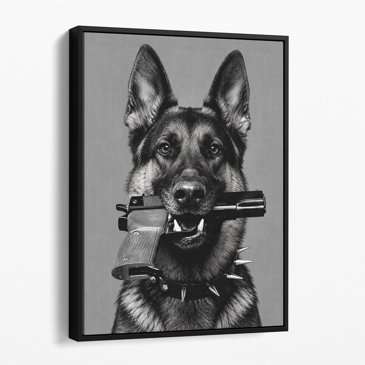 German Shepherd Gun In Mouth