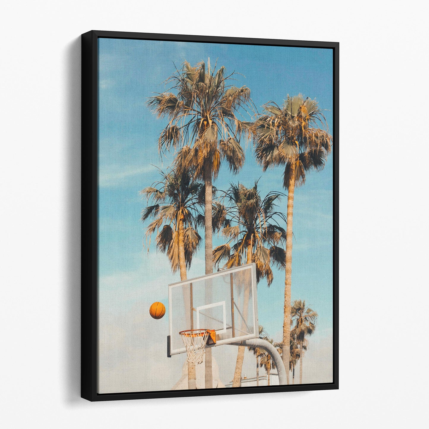 Beach Basketball With Palm Trees