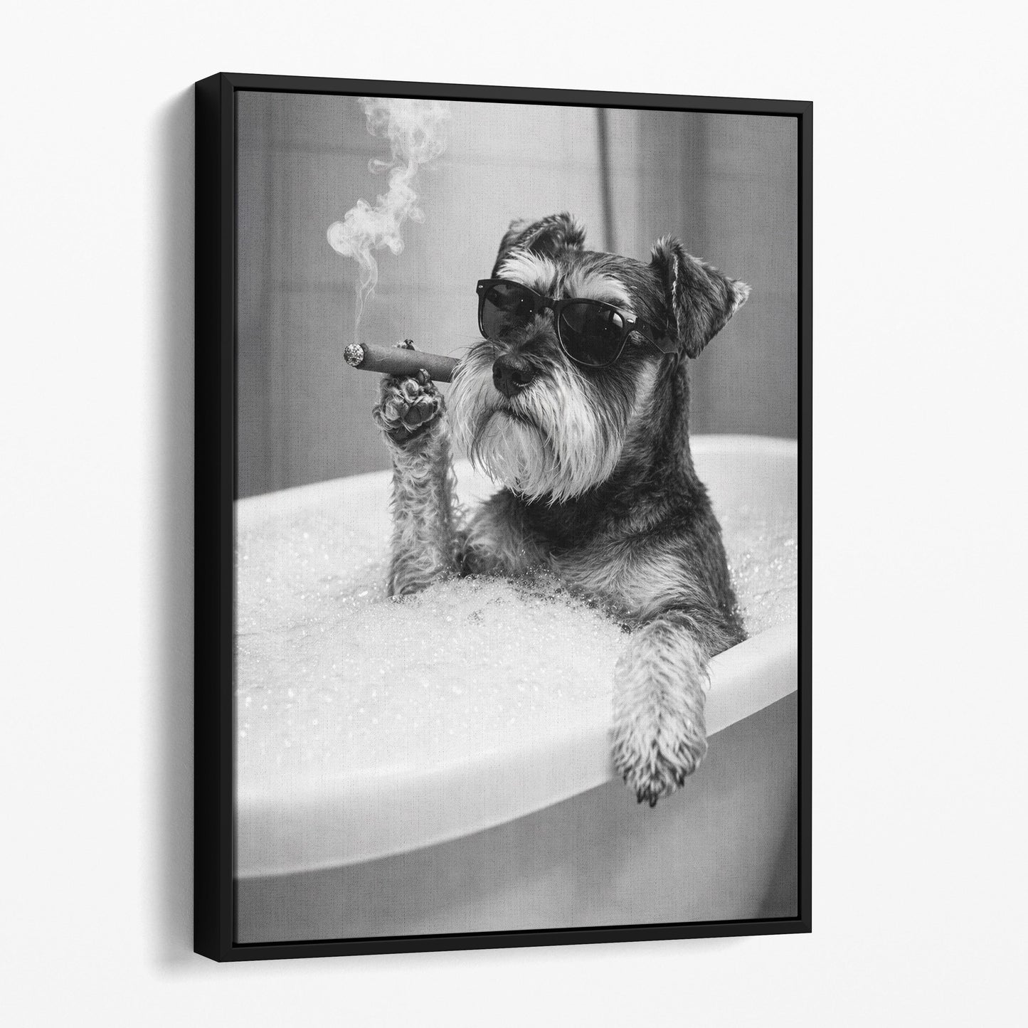 Miniature Schnauzer Dog Bathtub Cigar