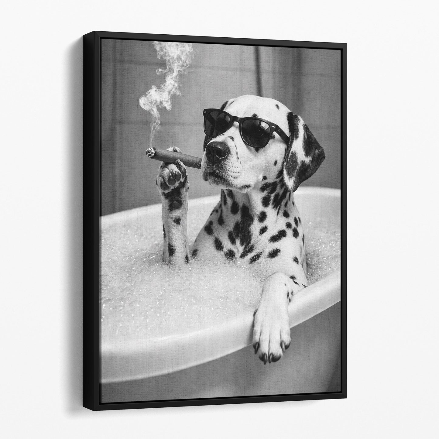 Dalmatian Dog Bathtub Cigar
