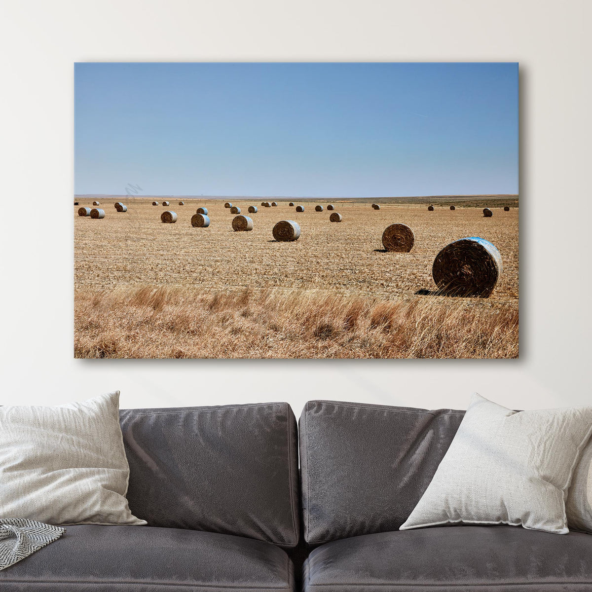 Hay Rolls Field