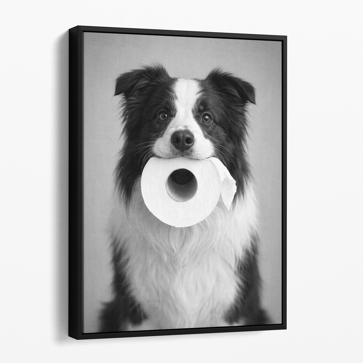 Collie Dog Toilet Paper