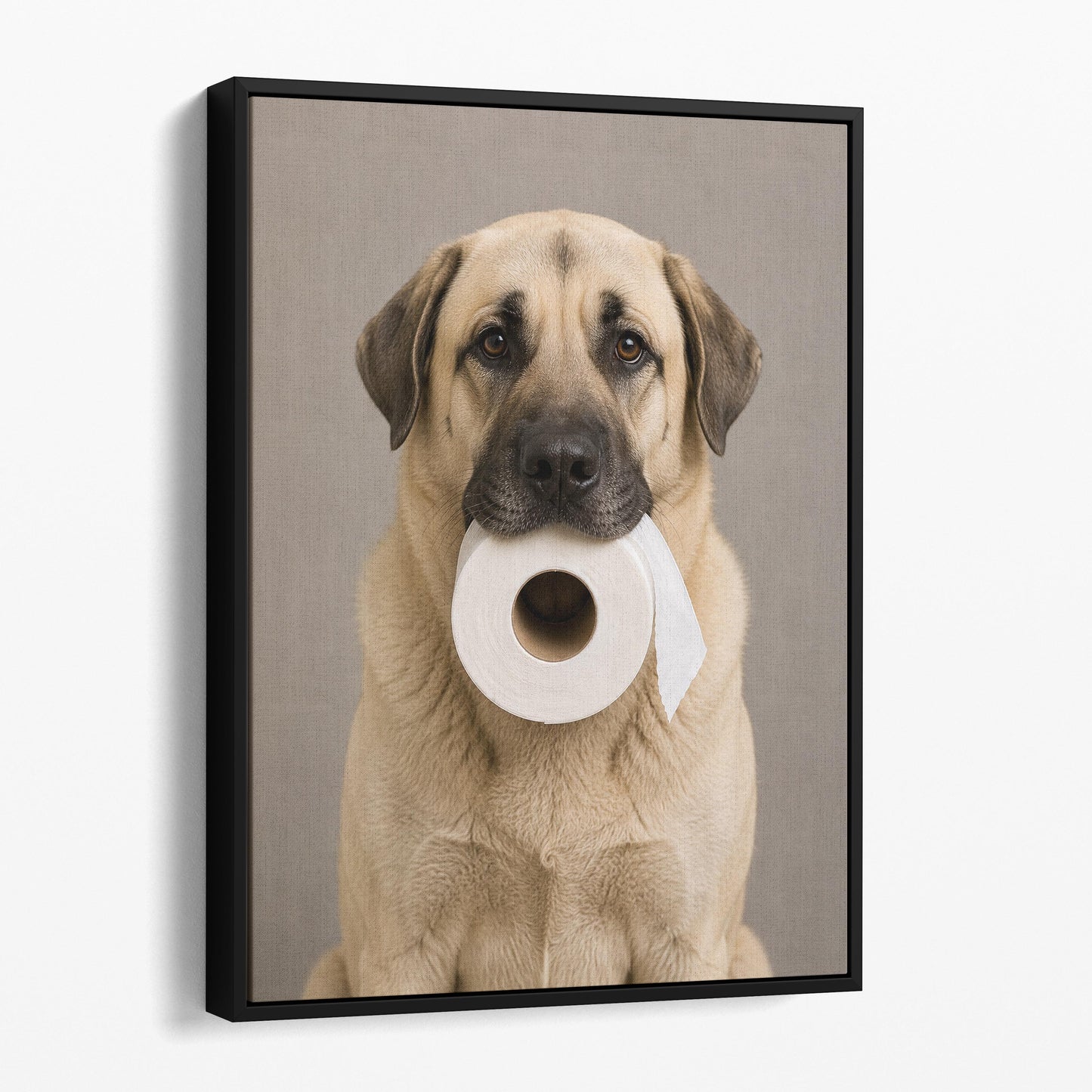Anatolian Shepherd Dog Toilet Paper