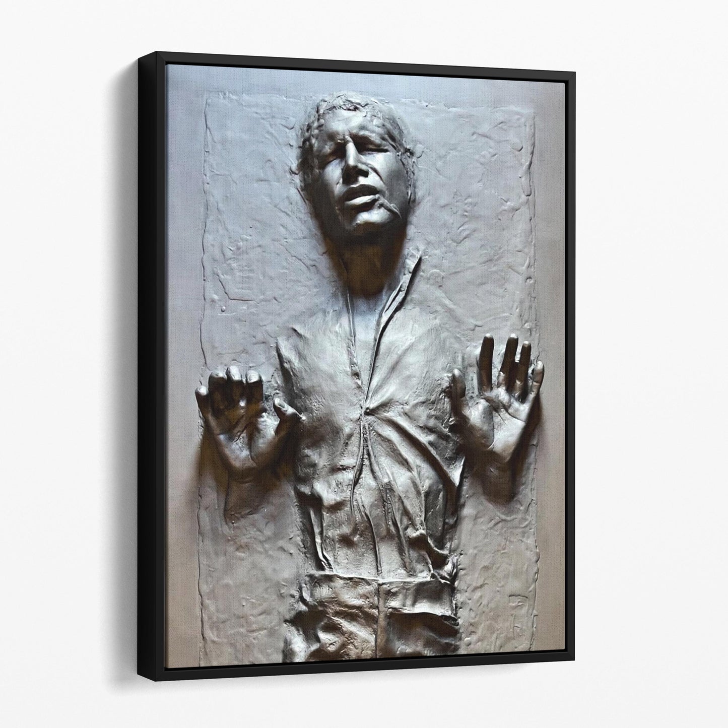 Han Solo Frozen In Carbonite