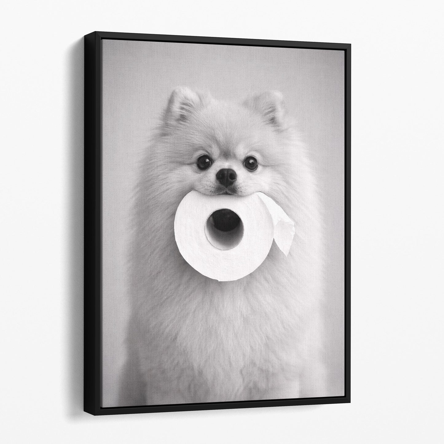Pomeranian Dog Toilet Paper