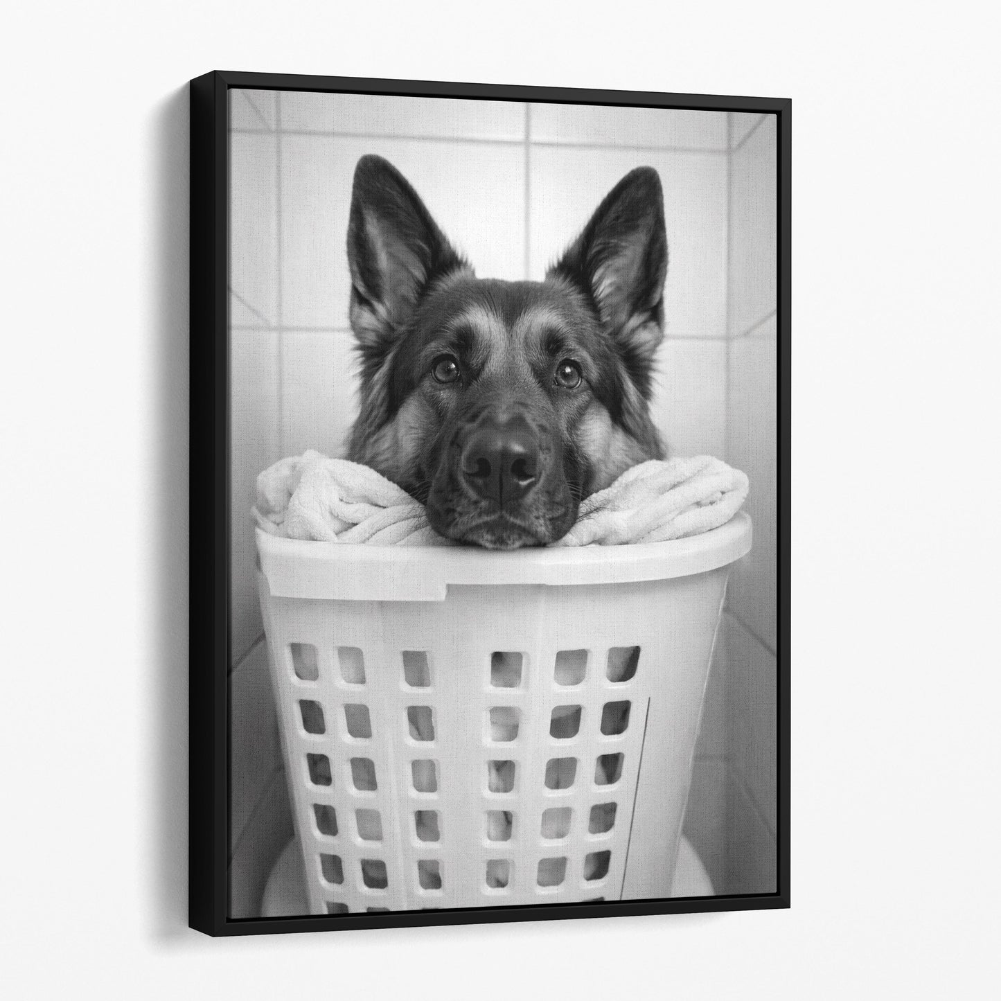 German Shepherd Dog Laundry