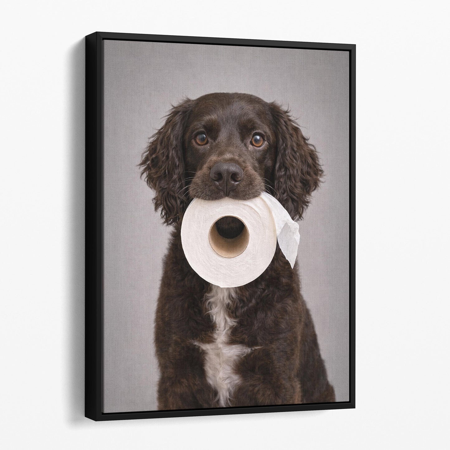 Boykin Spaniel Dog Toilet Paper