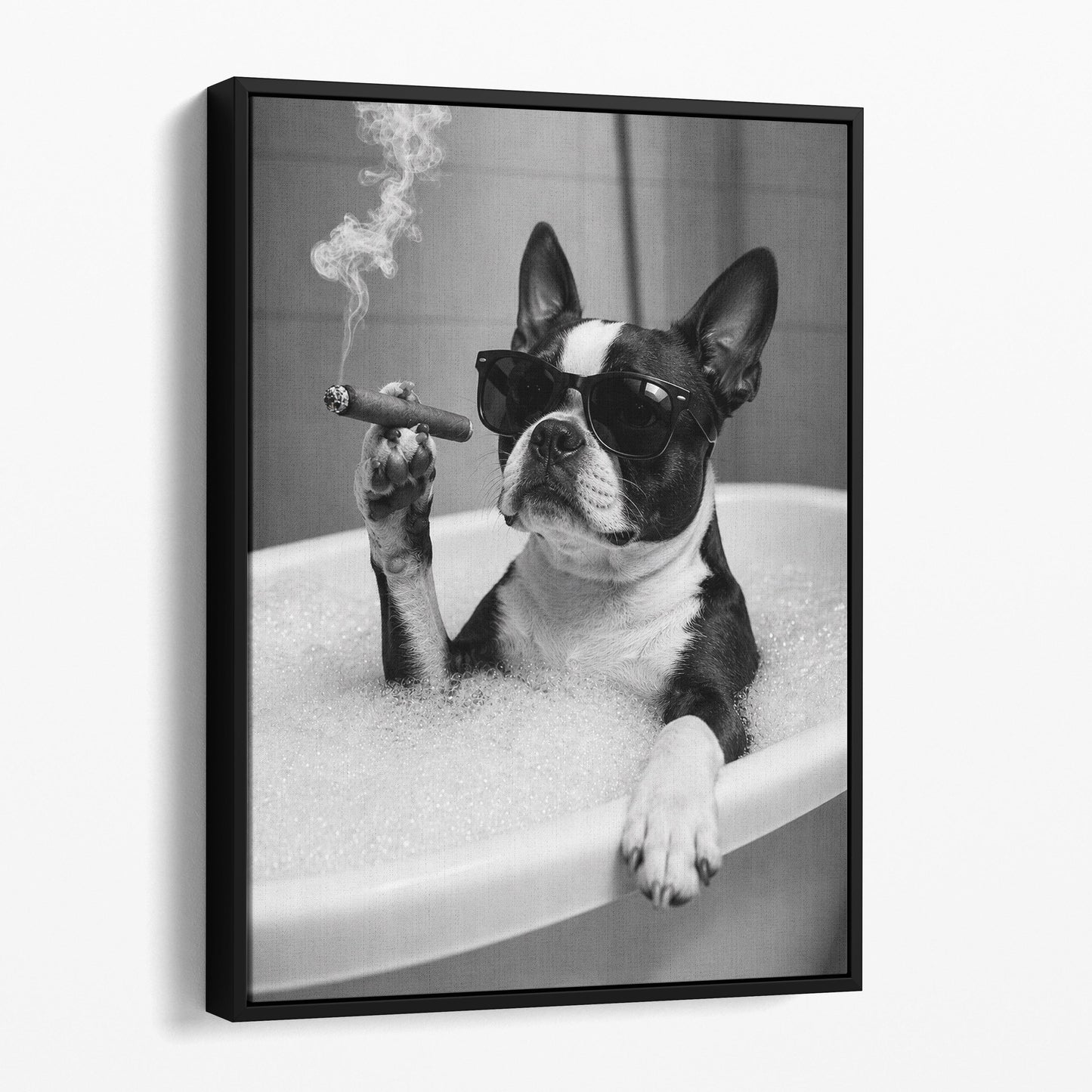 Boston Terrier Dog Bathtub Cigar