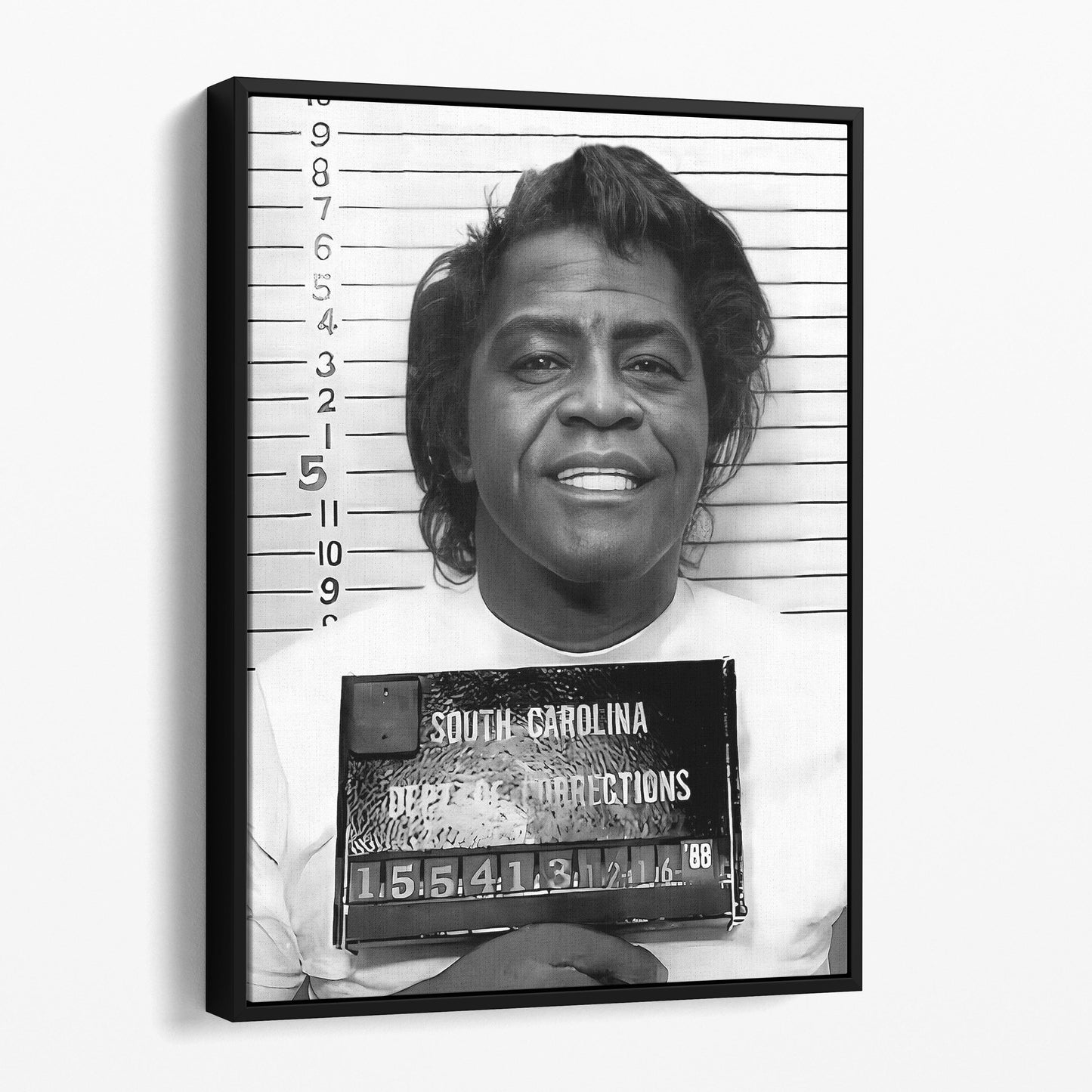 James Brown Prison Mugshot