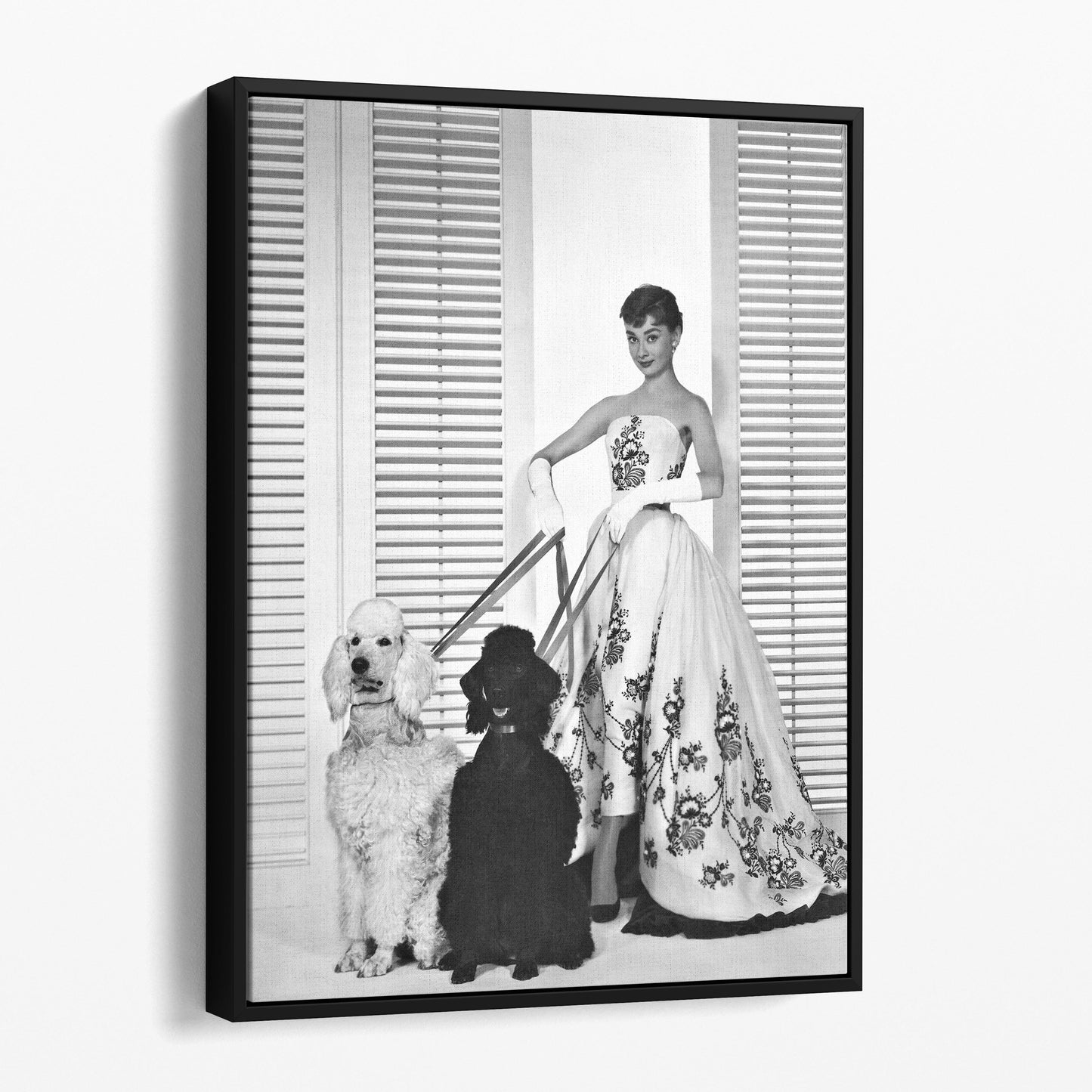 Audrey Hepburn Walking Her Dogs