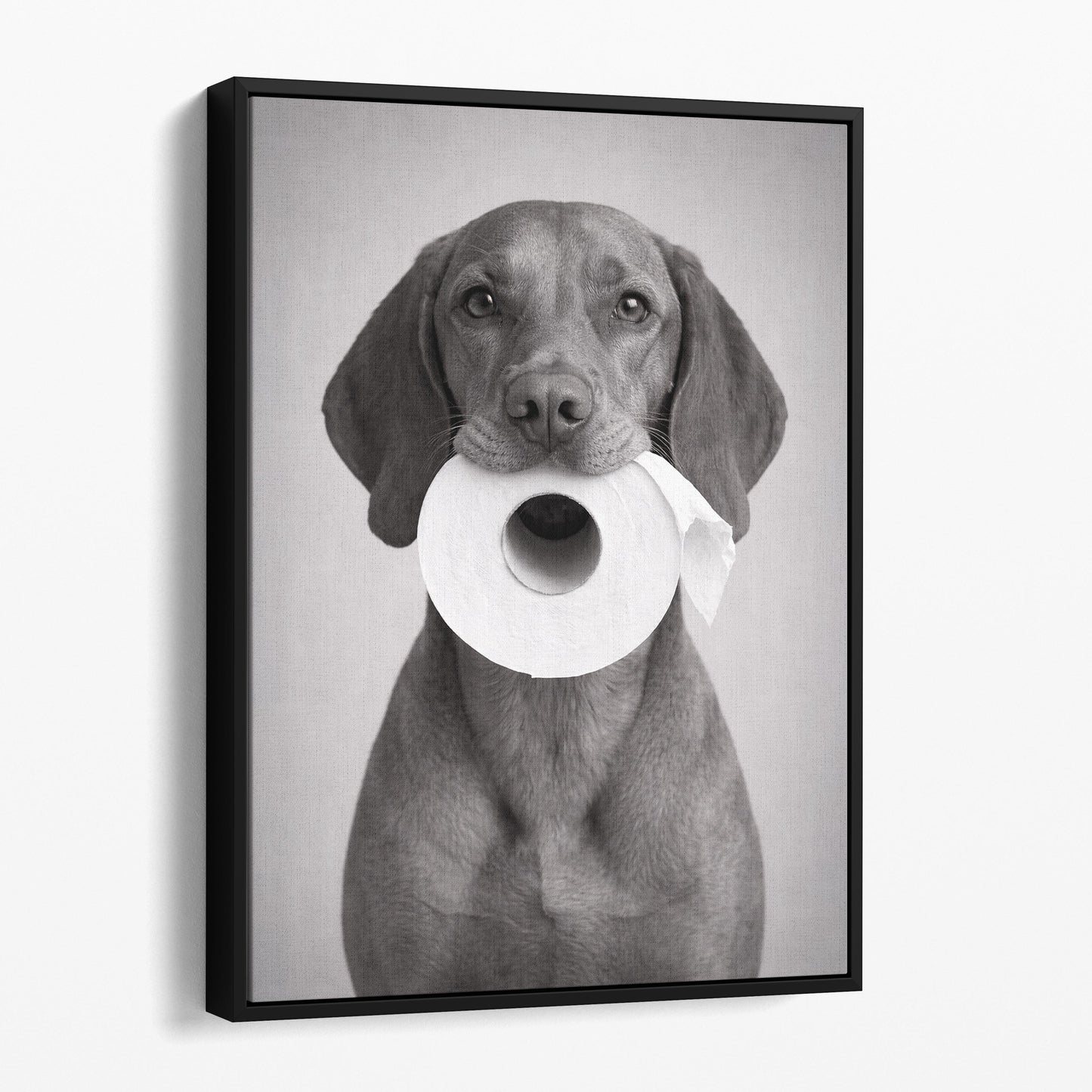 Vizsla Dog Toilet Paper