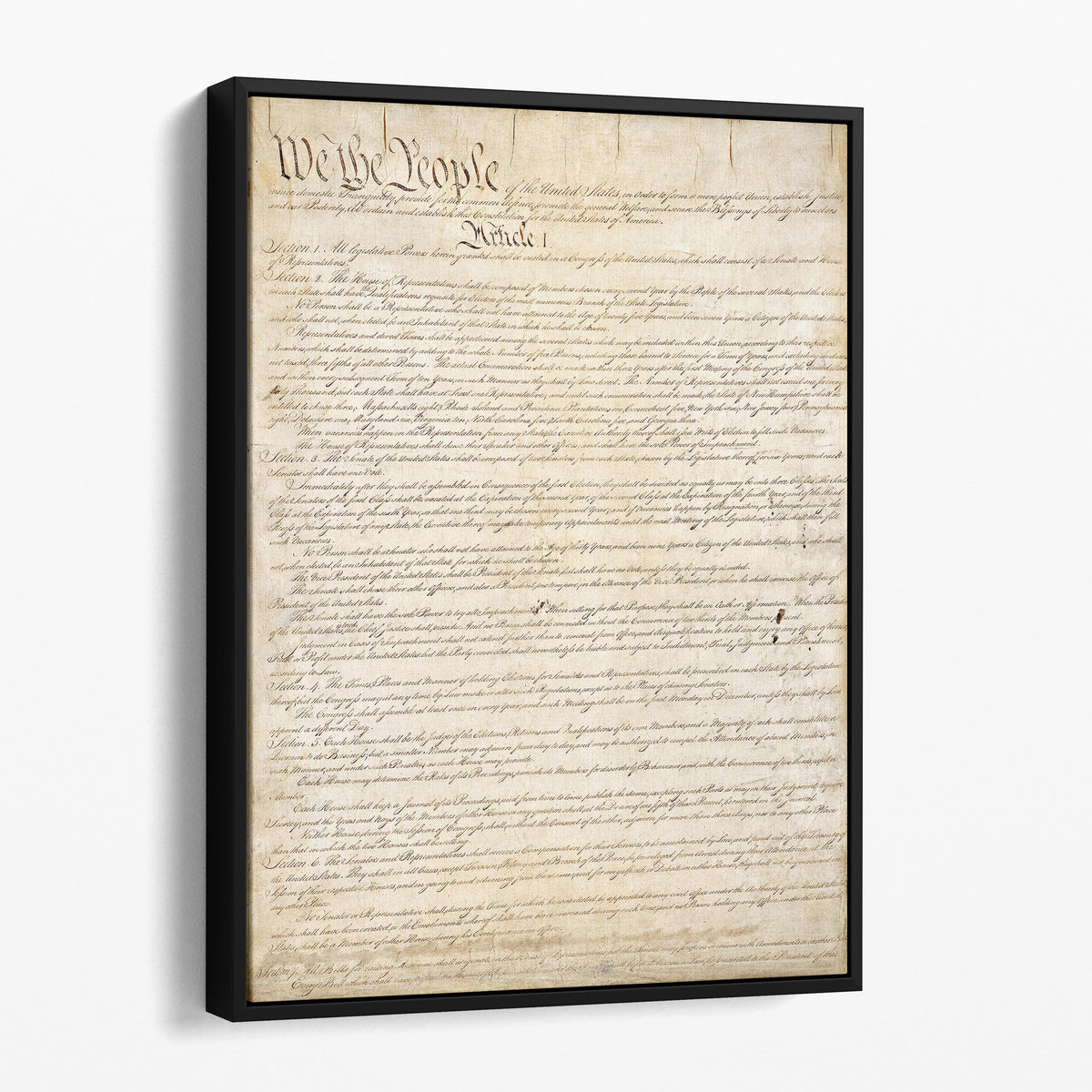 Constitution of the United States - We the People