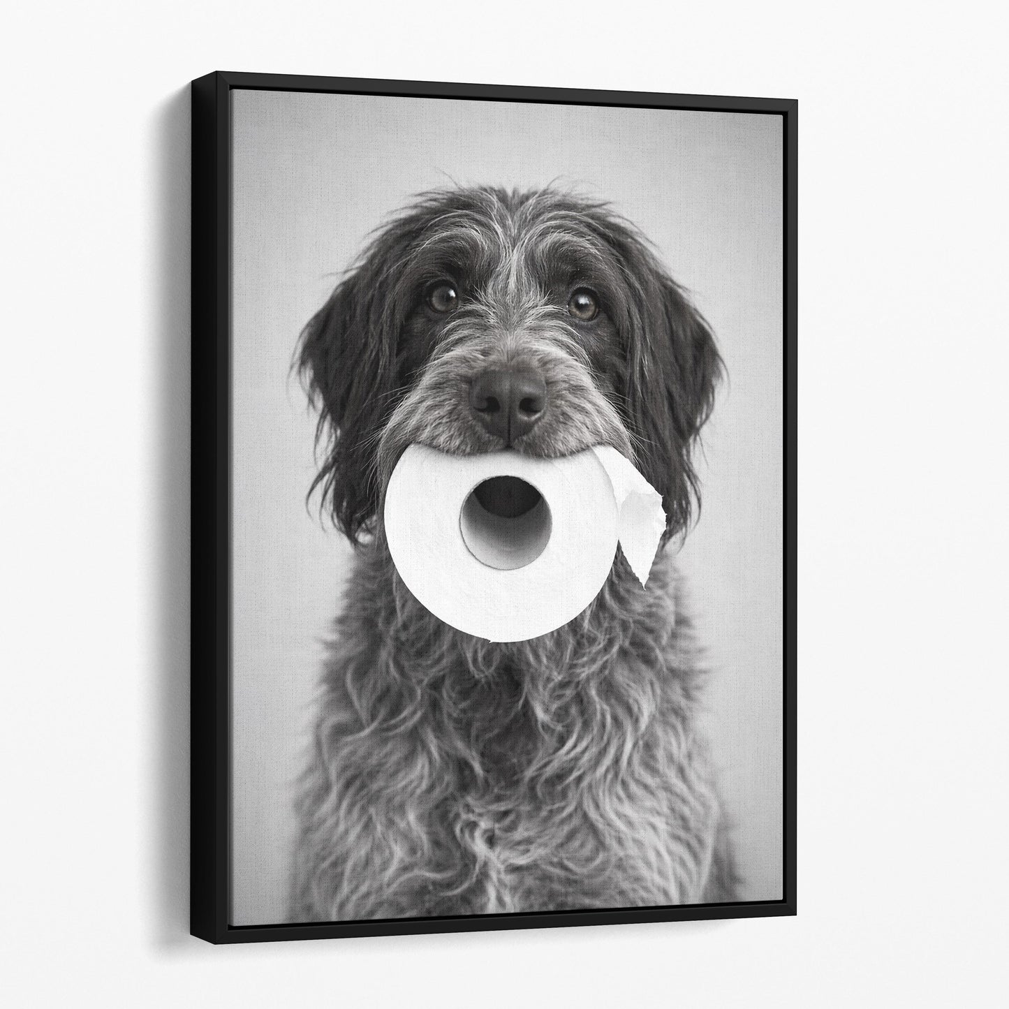 Wirehaired Pointing Griffon Dog Toilet Paper