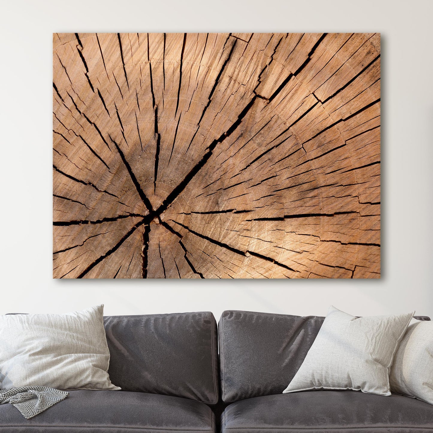 Tree Stump Rings