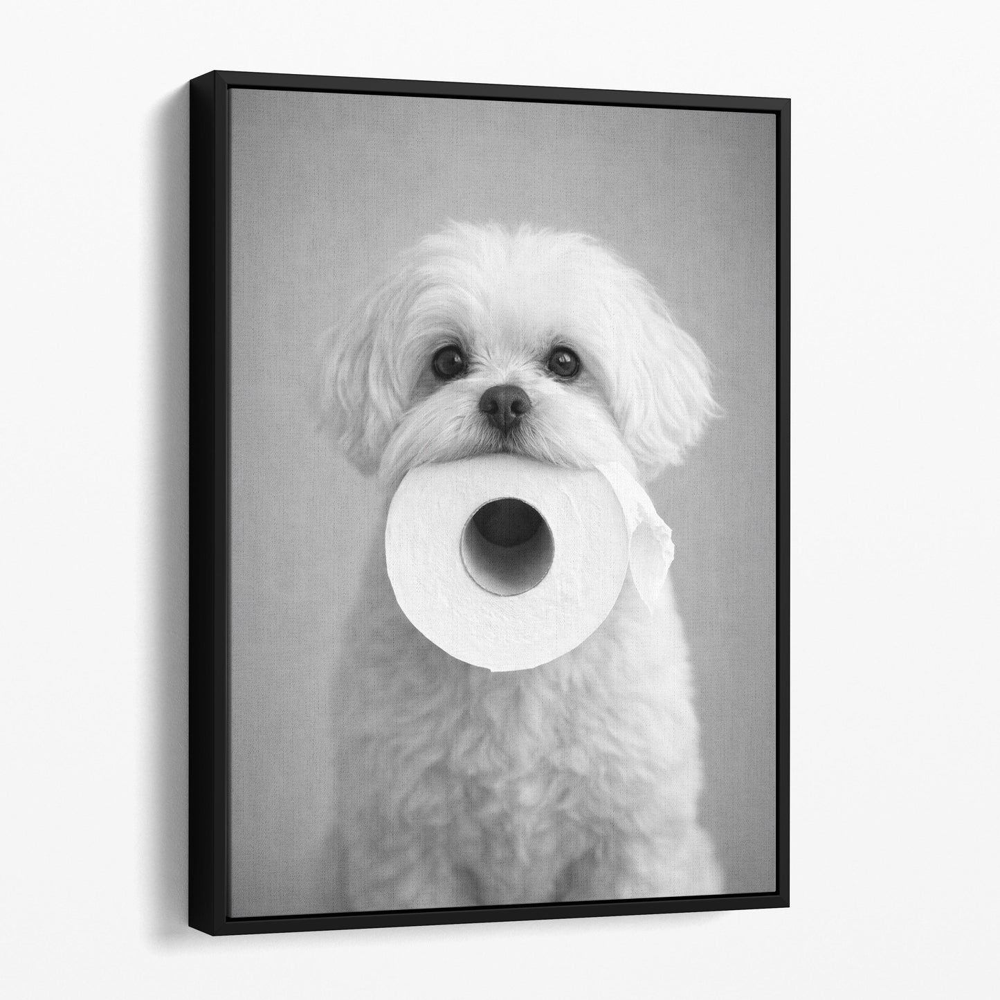 Maltese Dog Toilet Paper