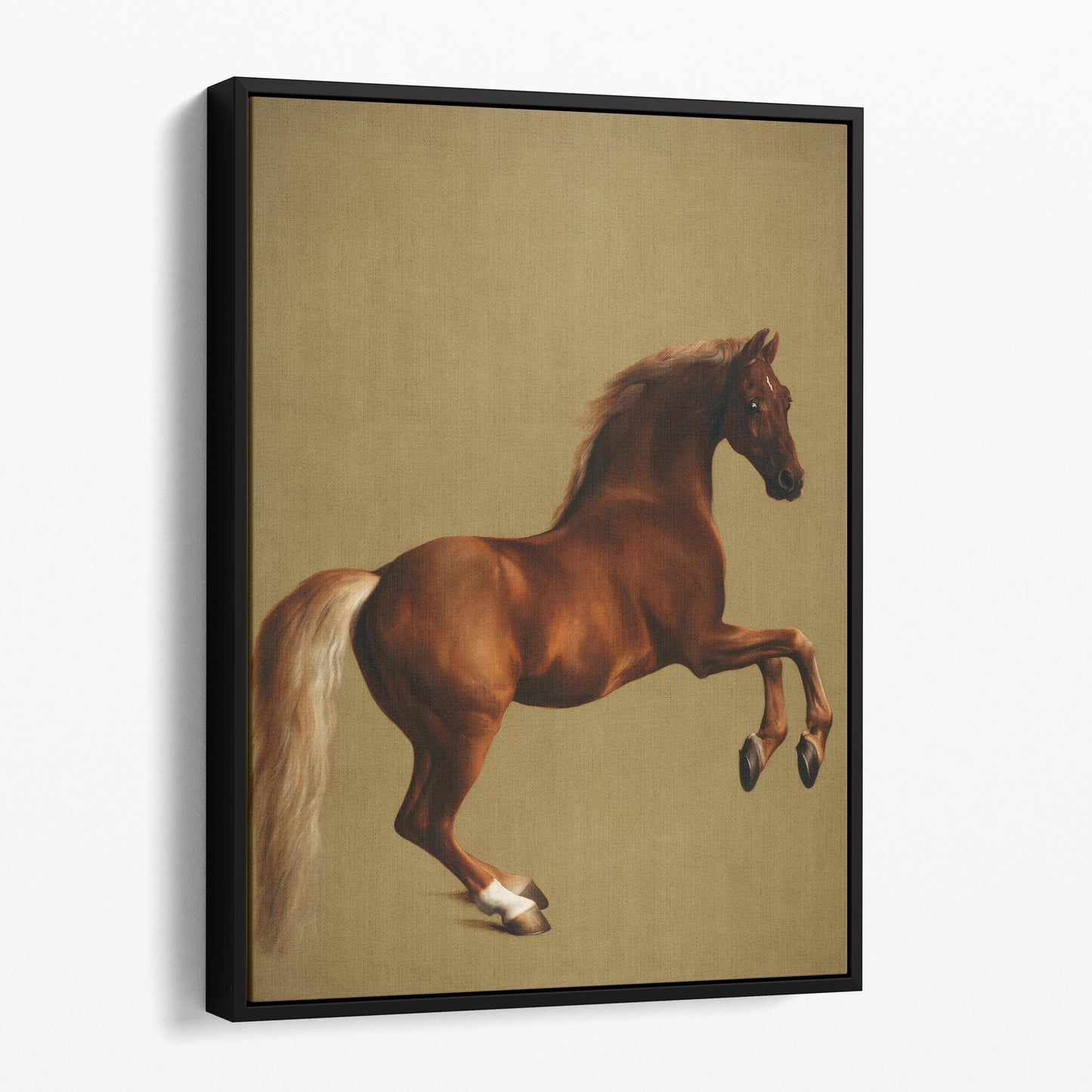 Whistlejacket by George Stubbs