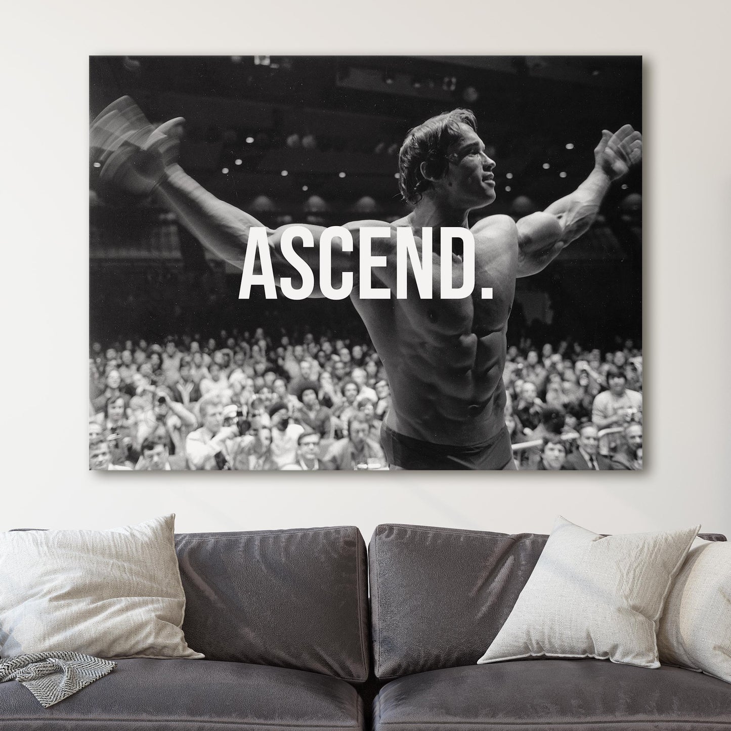 Arnold Schwarzenegger Ascend