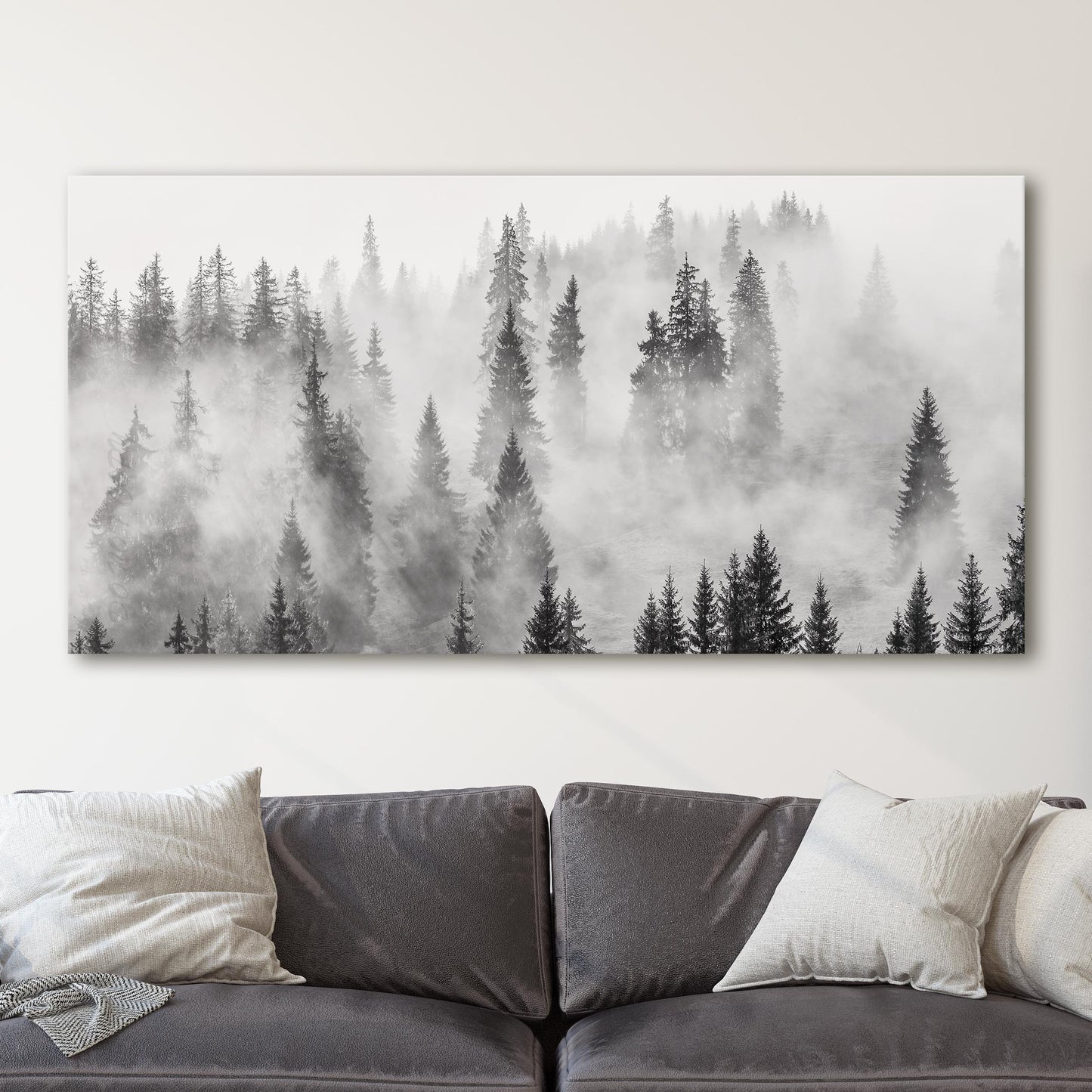 Foggy Forest