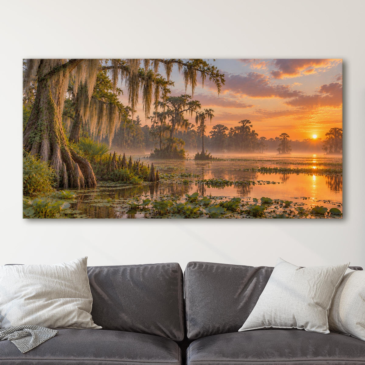 Louisiana Bayou