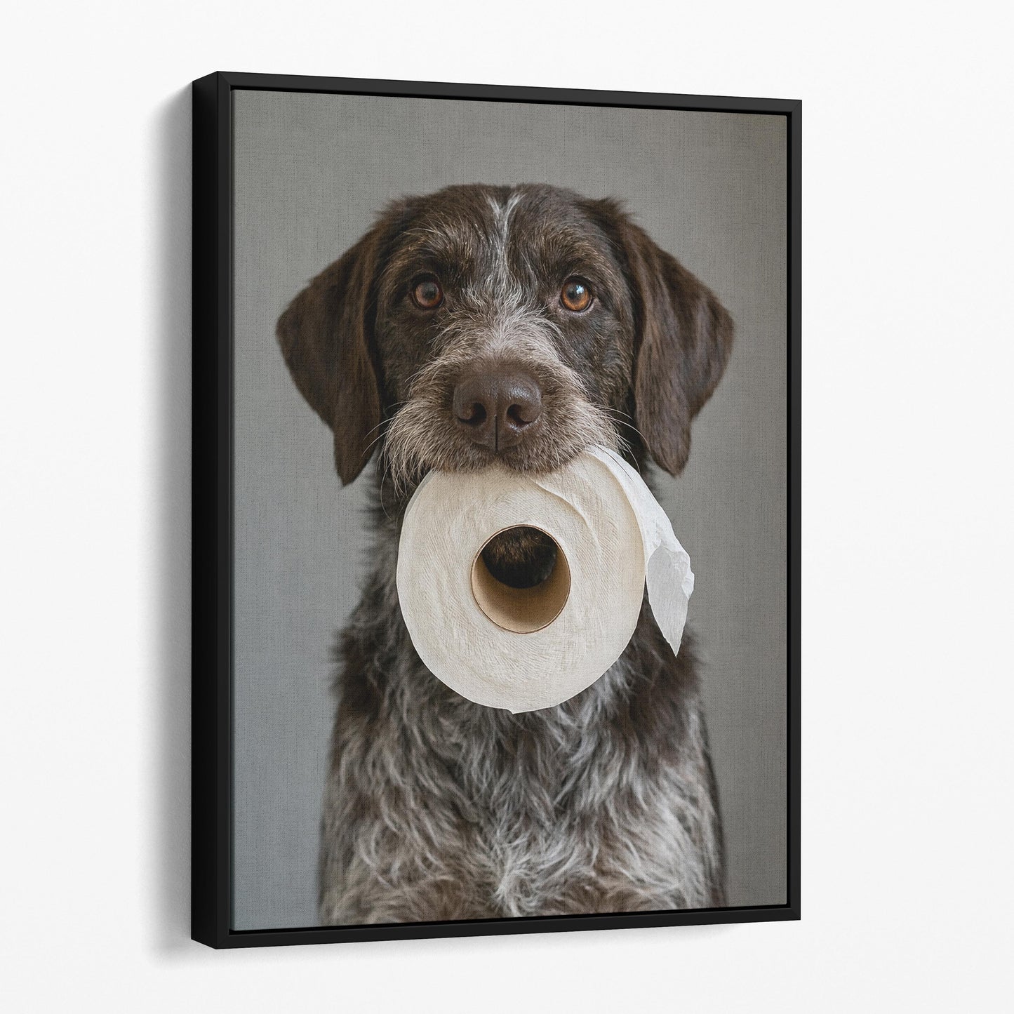 German Wirehaired Pointer Dog Toilet Paper