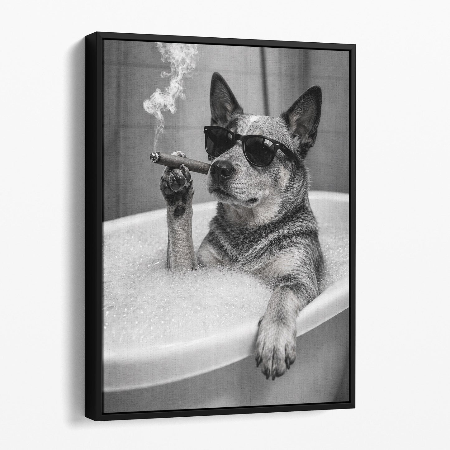 Australian Cattle Dog Bathtub Cigar