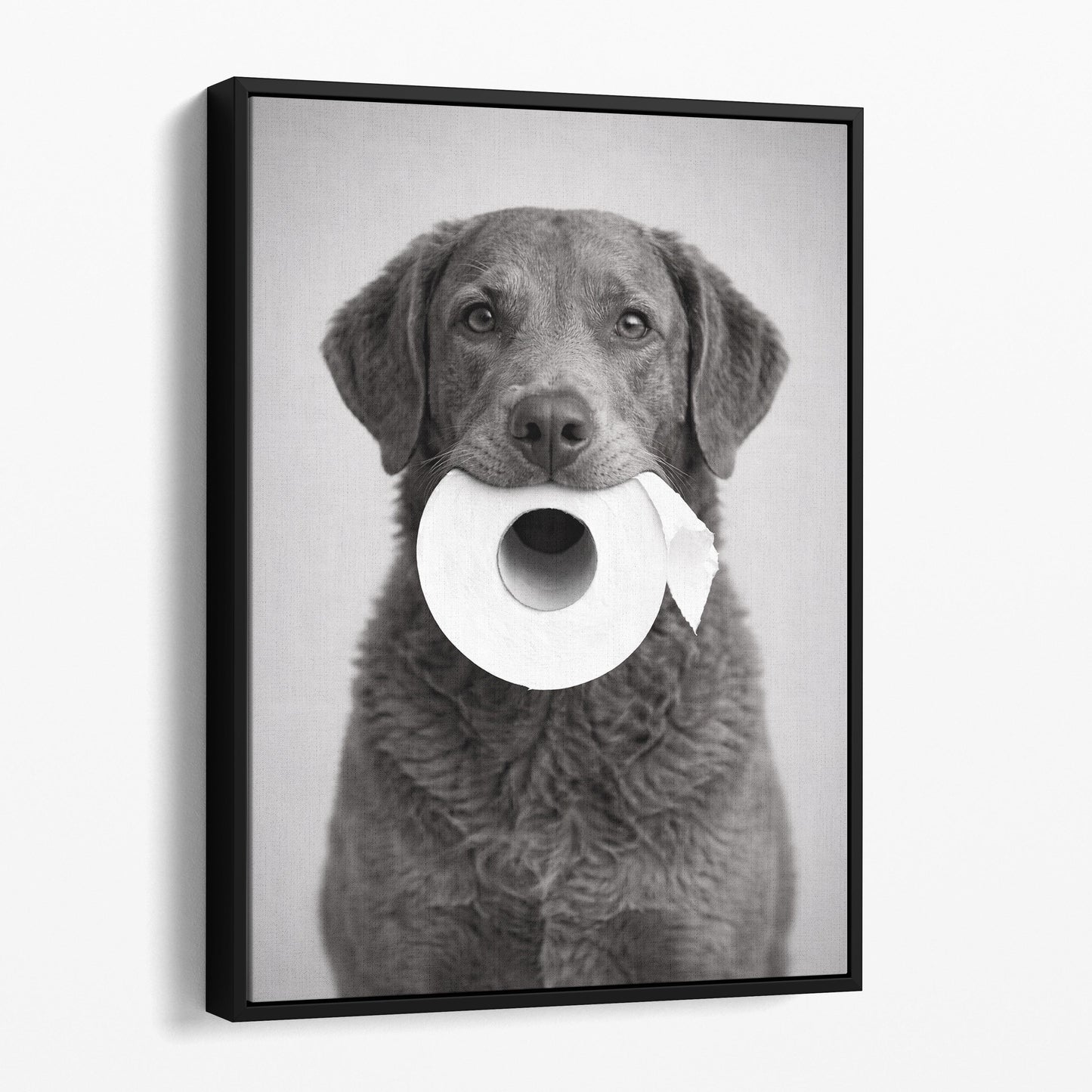 Chesapeake Bay Retriever Dog Toilet Paper