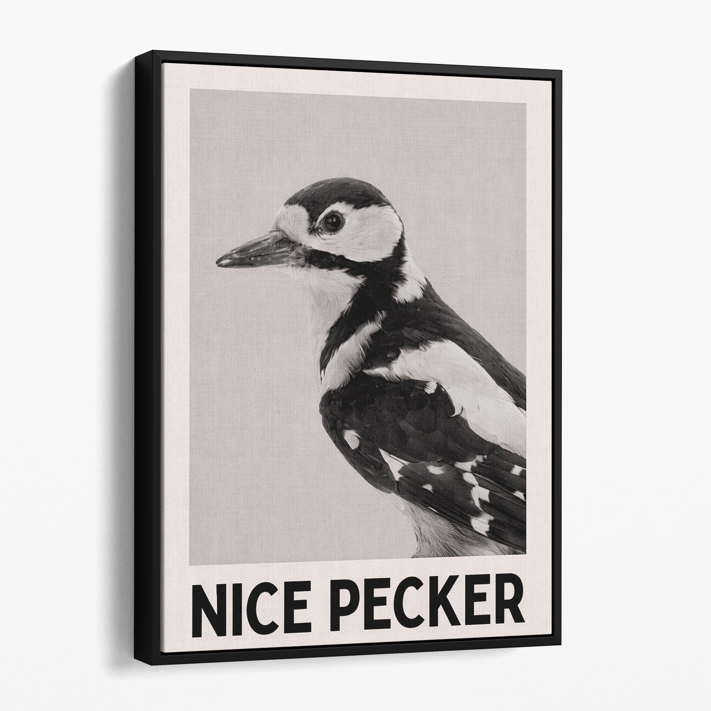 Nice Pecker - Birds Bathroom Sign