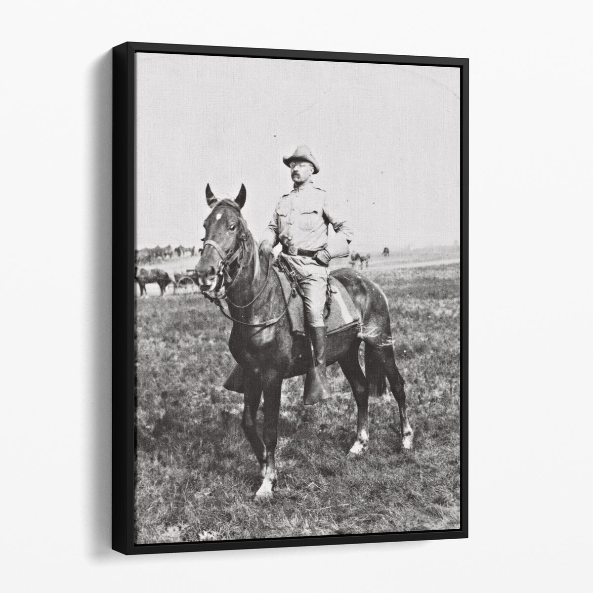 Theodore Roosevelt of the Rough Riders