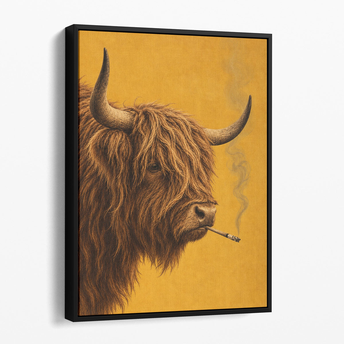Highland Cow Smoking