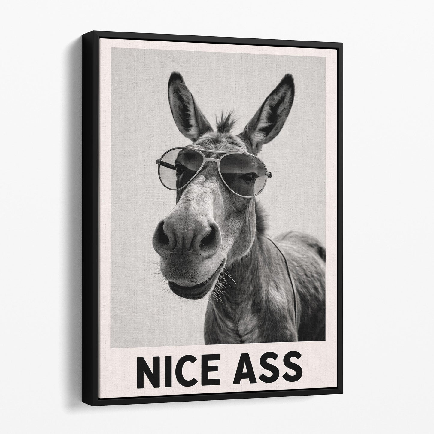 Nice Ass Donkey