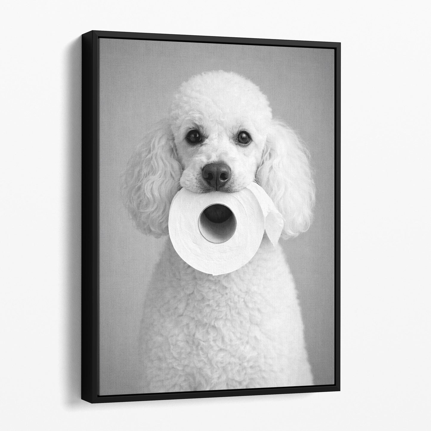 White Poodle Dog Toilet Paper