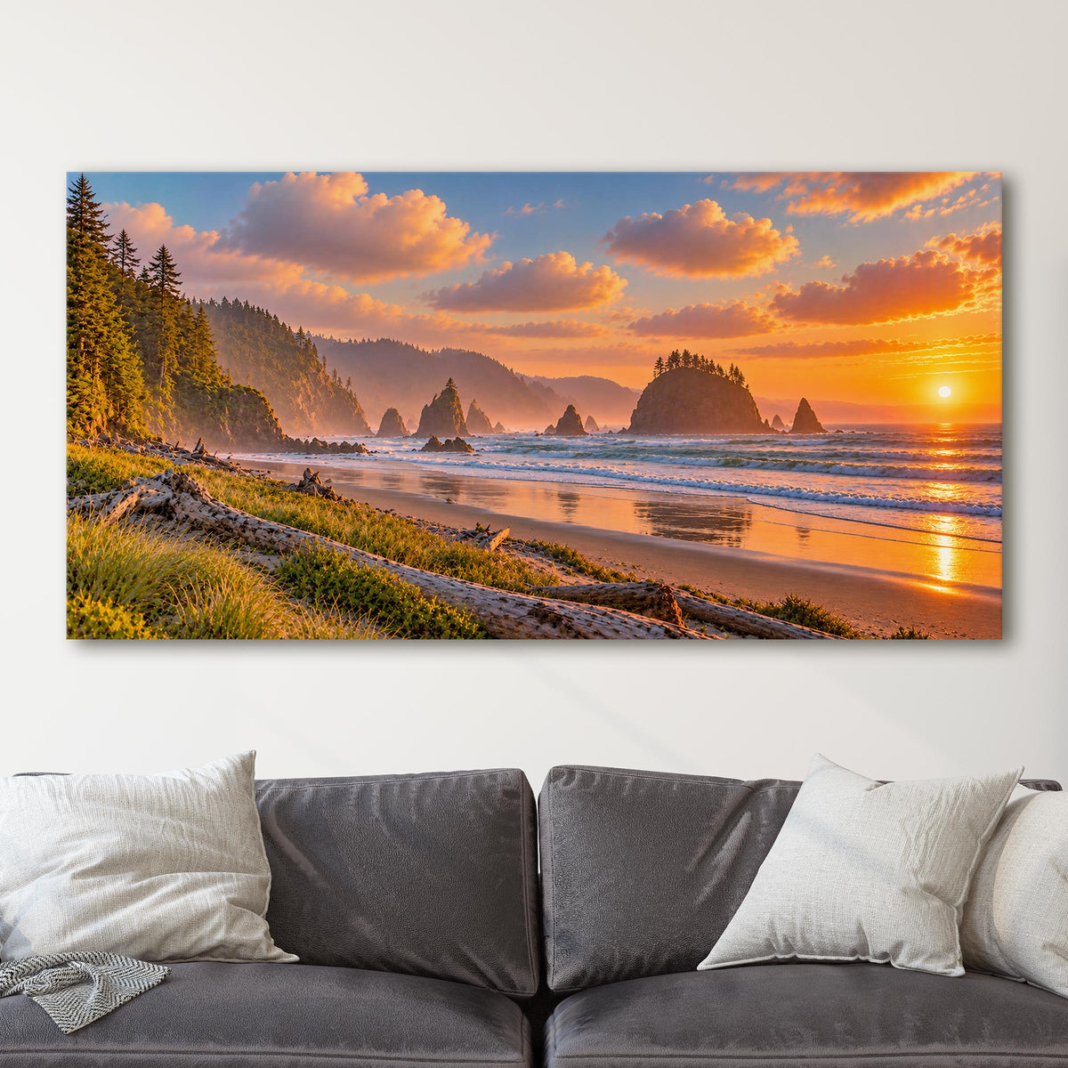 Olympic National Park, Washington Coast
