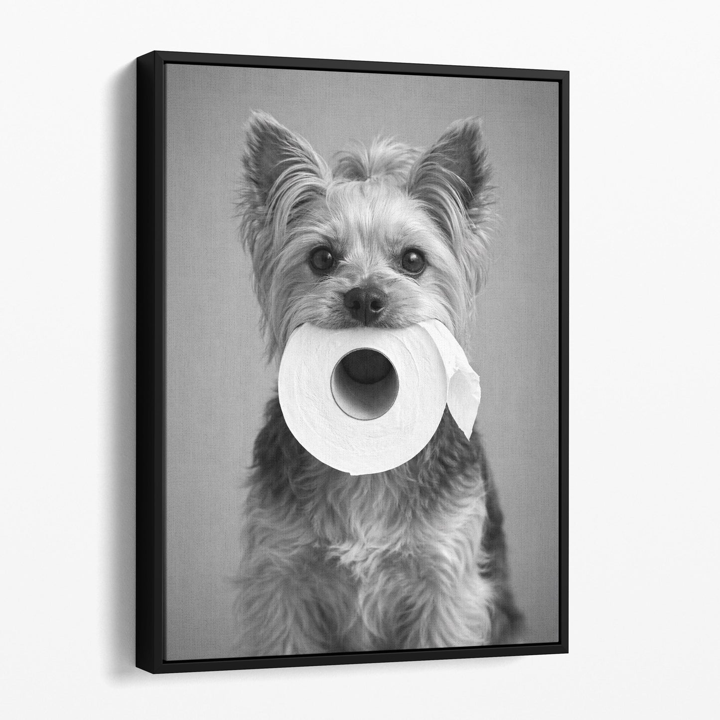 Yorkshire Terrier Dog Toilet Paper