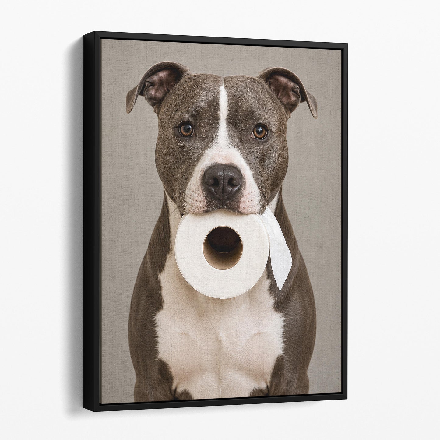 American Staffordshire Terrier Dog Toilet Paper