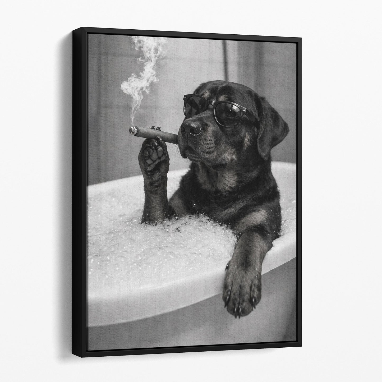 Rottweiler Dog Bathtub Cigar