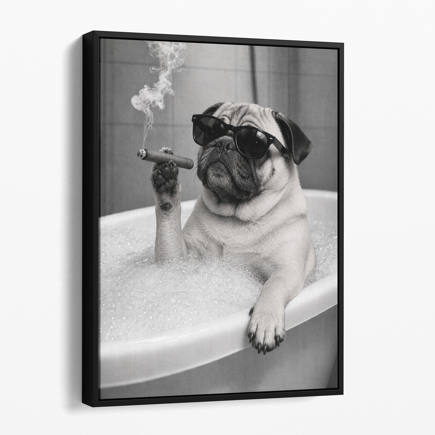 Pug Dog Bathtub Cigar