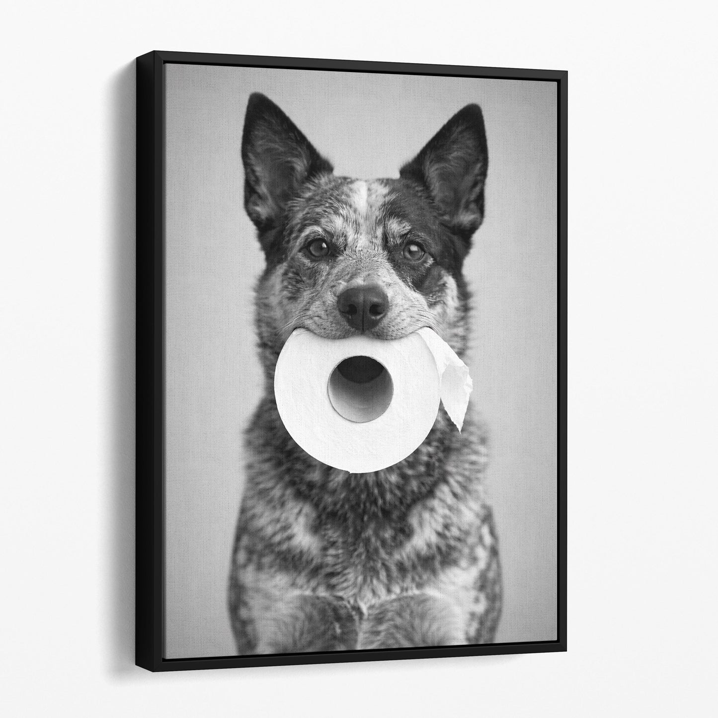 Australian Cattle Dog Toilet Paper