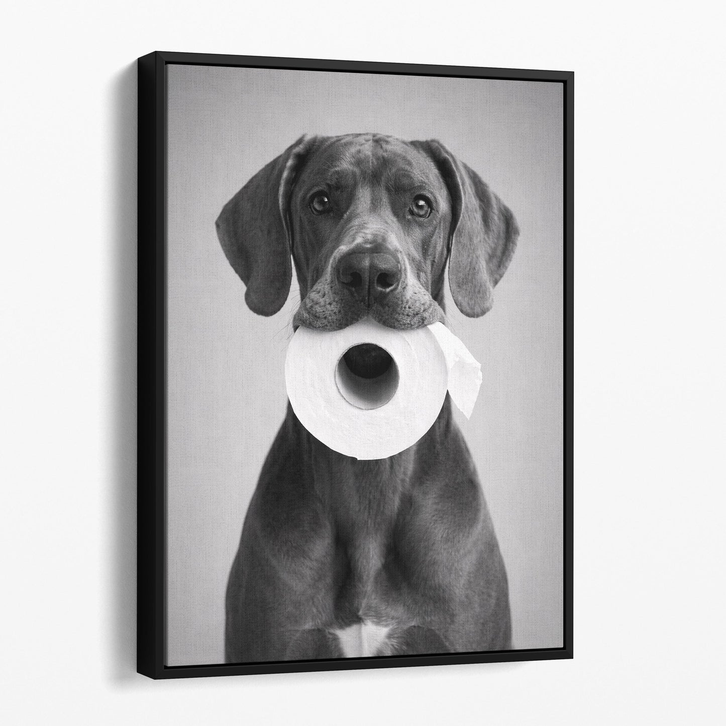 Great Dane Dog Toilet Paper