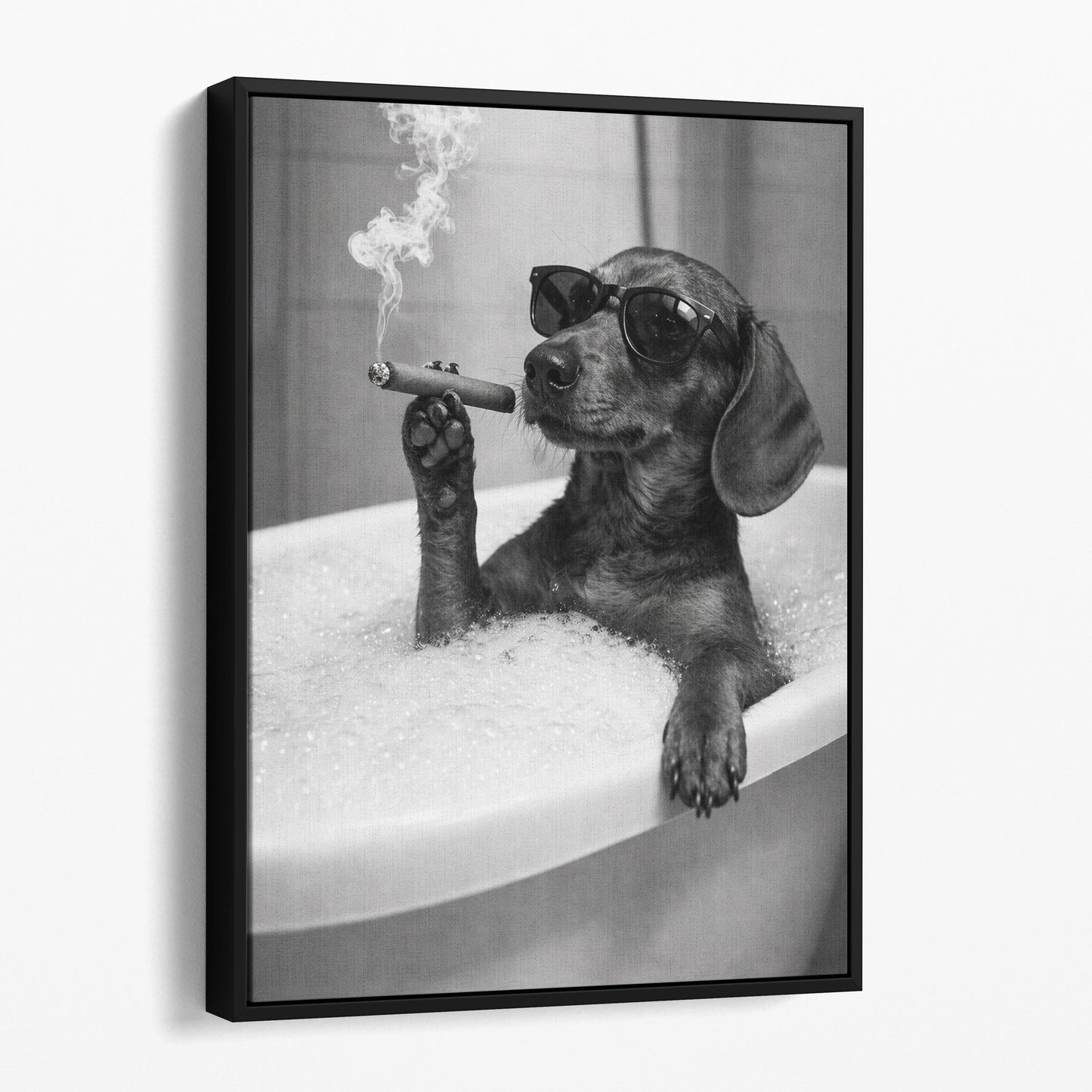 Dachshund Dog Bathtub Cigar