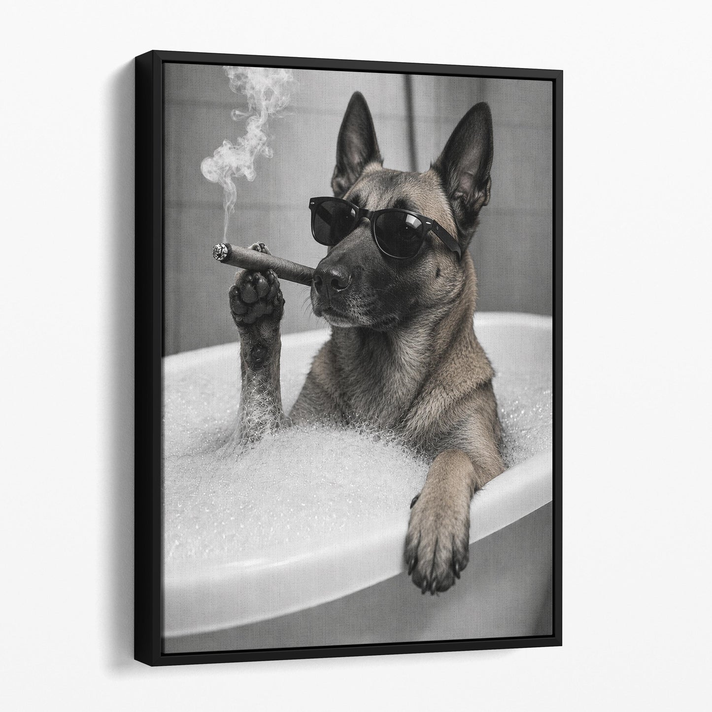 Belgian Malinois Dog Bathtub Cigar