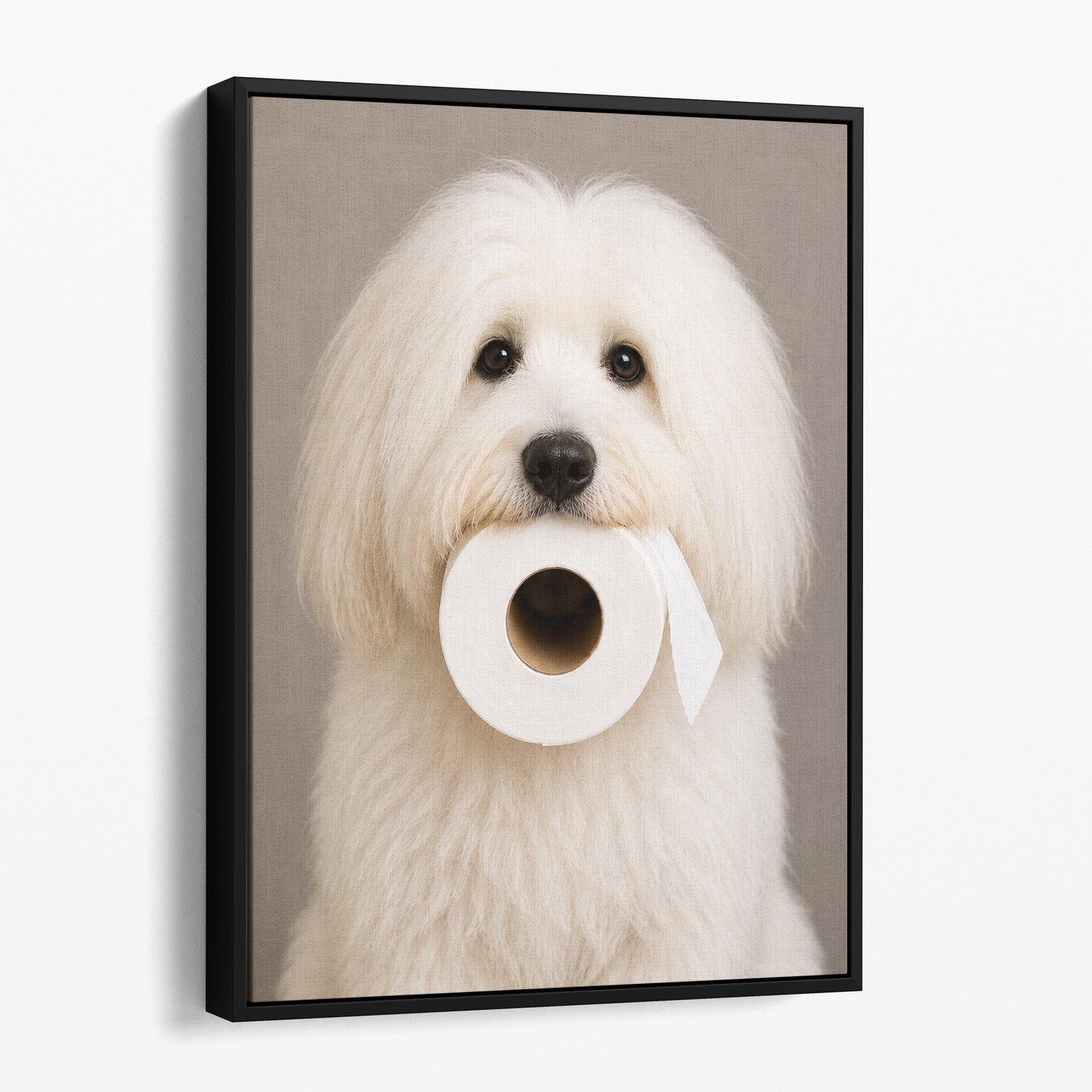 Coton de Tulear Dog Toilet Paper