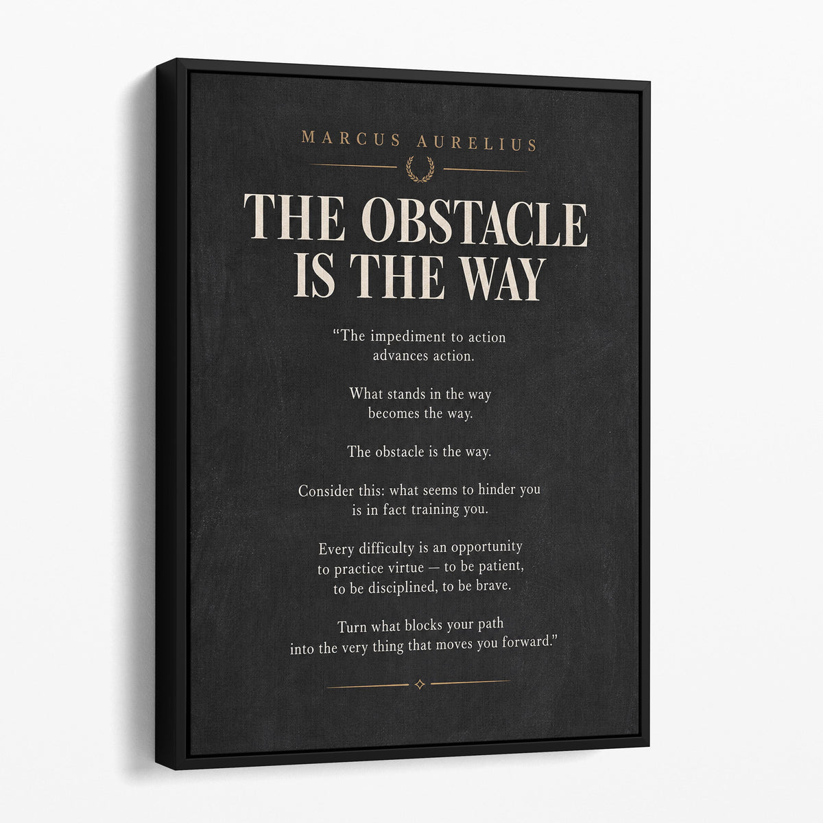 The Obstacle Is The Way - Marcus Aurelius