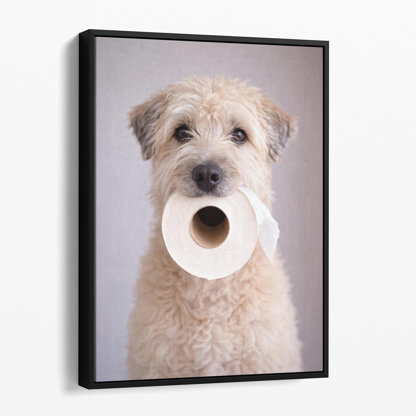 Soft Coated Wheaten Terrier Dog Toilet Paper