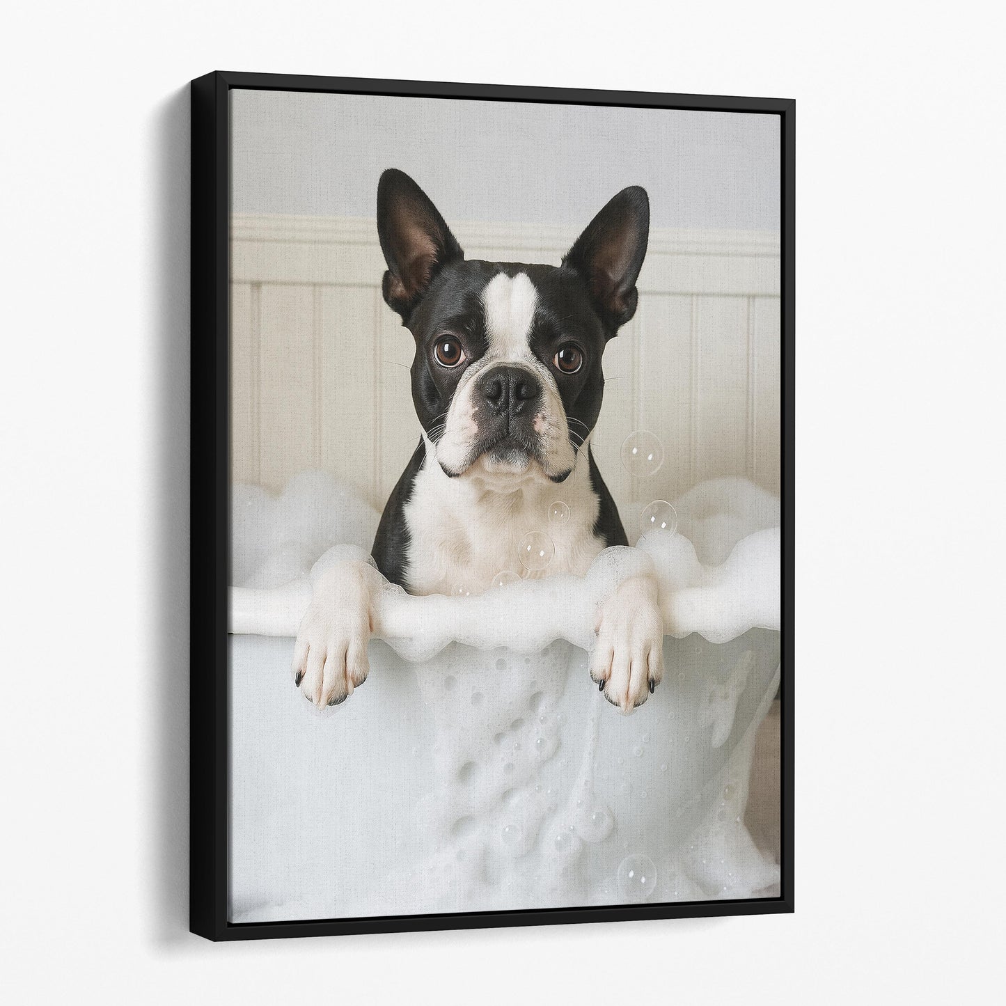 Boston Terrier Dog Bubble Bath